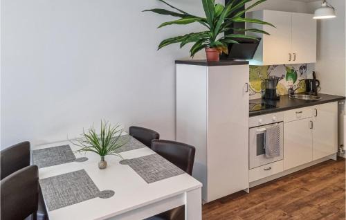 Passow Apartamento | Pet Friendly Apartment