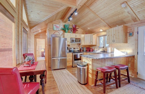 Bailey Cabina | Pet-Friendly Cabin Near Denver & Breck Fire Pit Hot Tub