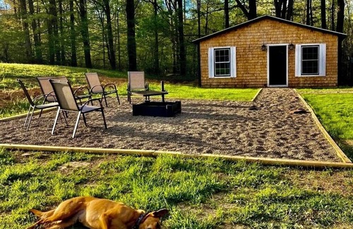 Marienville Cabina | Pet-Friendly Cabin Near Cook Forest+Allegheny national forest: Knotty Pine Lodge