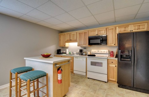 Helen Apartamento | Pet-Friendly Cleveland Apt: 7 Mi to Yonah Mountain