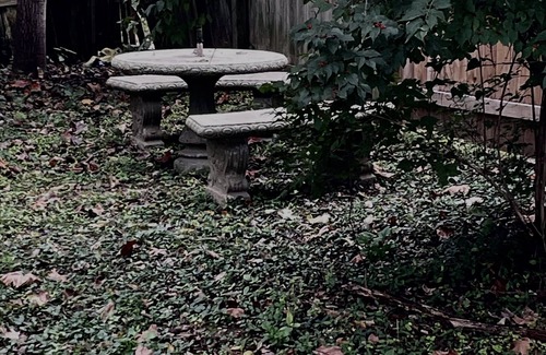 Madison Cabaña | Pet friendly Nature Cottage: deck, trails, fire pit, creek, & historic district