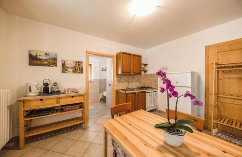 Castello-Molina di Fiemme Apartamento | Apartamento estudio Casa Nicole que admite mascotas con vistas a la montaña, Wi-Fi y jardín