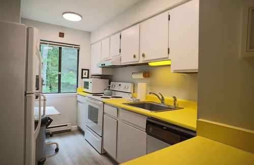Waterville Valley Condominio | Pet Friendly Cozy Condo in Family Friendly Waterville Valley Resort (WHB13V)
