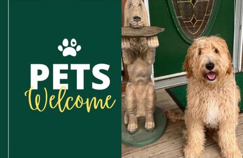 Sevierville Apartamento | Pet-Friendly, Views, Hot Tub, WIFI, Game Room
