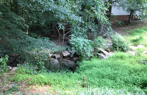 North Raleigh Casa | Pet Friendly & Walking Distance to Falls Lake