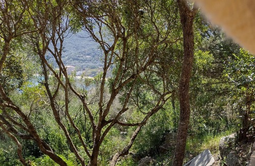 Belvedere-Campomoro Apartamento | Petit Coin de Paradis Niché Dans le Maquis