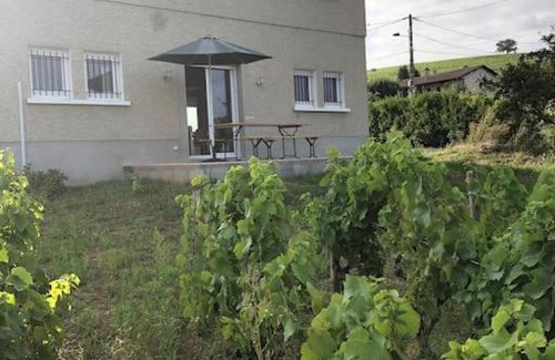 Villie-Morgon Apartamento | Petit Gîte de Javernières Rez de jardin