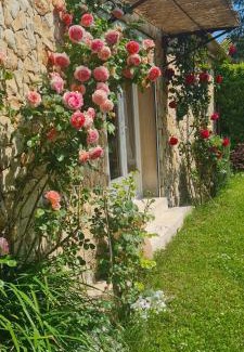 Mazan Casa | Petit gite de Provence