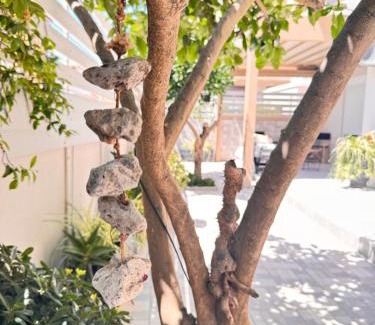 Preveza Apartamento | Petite Fleur