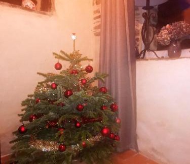 Commana Casa | Petite maison dans les Monts d'Arrée TY COZ