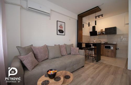 Jagodina Apartamento | Petković apartmani 87