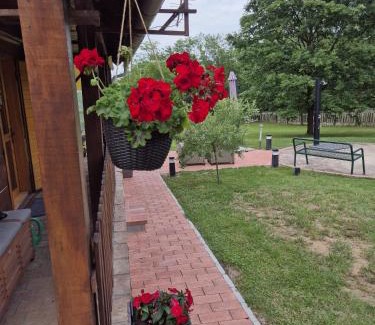 Stari Mikanovci Casa | PETRA kuća za odmor