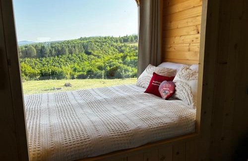 Sumece Hotel | Petrovf Place