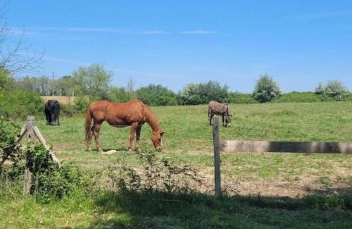 Sistels Casa | Pey Sud