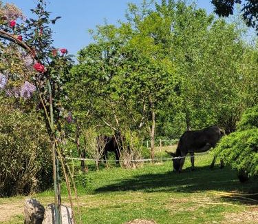 Sistels Cama Y Desayuno | pey sud gaua