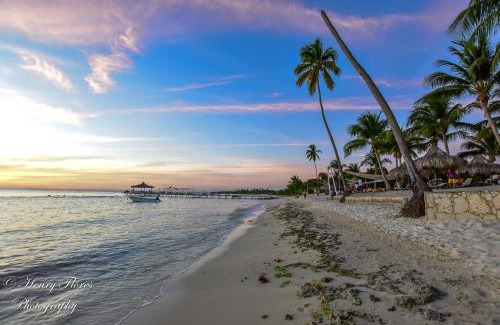 Dominicus Apartamento | Pez 106