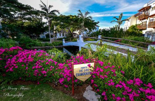 Dominicus Apartamento | Pez 106