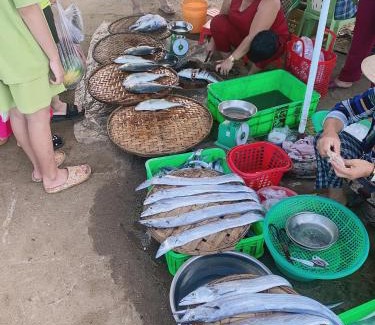 Song Cau Casa | phòng mùa hạ