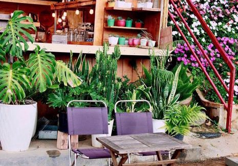 Da Lat Hotel | Phố Thường Garden