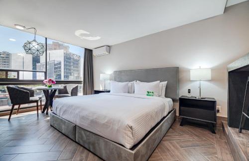 Polanco Apartamento | PH Masarik 17