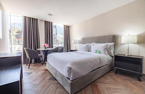 Polanco Apartamento | PH Masarik 17
