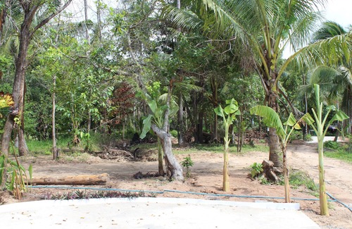 Baan Tai Casa | Phangan Green Village