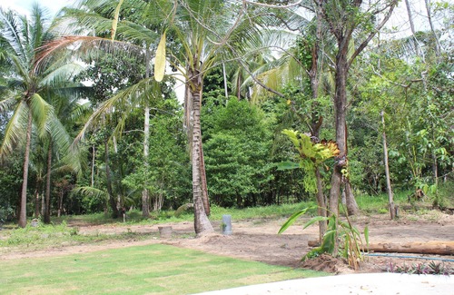 Baan Tai Casa | Phangan Green Village