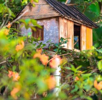Son Trach Casa | Phong Nha Family Homestay