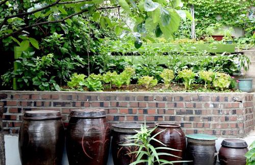 Yongsan-gu Casa | Photo Park Guesthouse