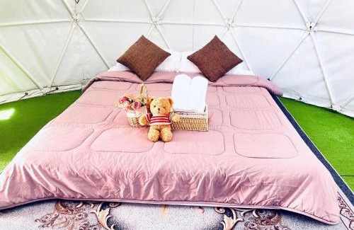 Tap Tao Hotel | Phuchifa Sky Camp ร้อยรักภูชี้ฟ้า