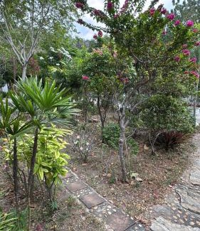 Kanchanaburi Complejo | Phurang Hill Resort