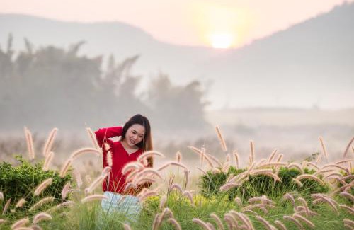 Phu Ruea Complejo | Phuruakeeree Resort