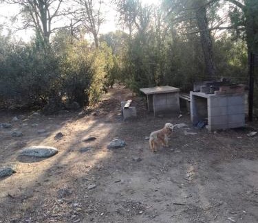Municipio de Tecate Otro | Piñoneras del cóndor