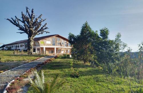 Marinilla Otro | PIA COLOMBIA
