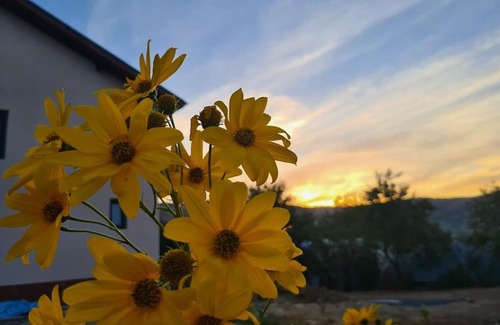 Niculitel Casa | PIATRA ROSIE Pensiune Agroturistică
