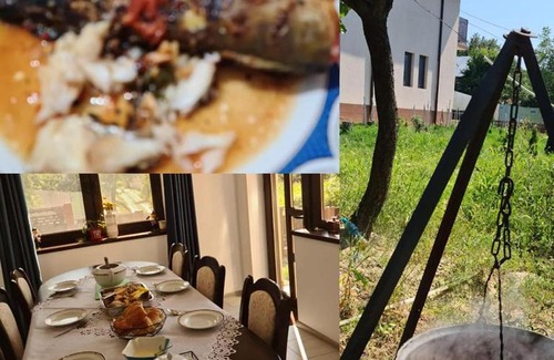 Niculitel Casa | PIATRA ROSIE Pensiune Agroturistică