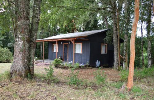 Valdivia Casa | Pichihuape Lodge