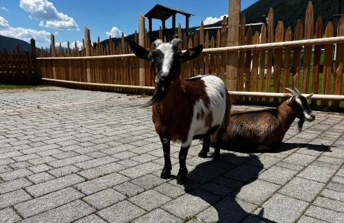 Valle San Silvestro Apartamento | Pichlerhof
