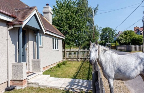New Forest District Cabaña | Picture perfect cottage 30 minute walk from wild beach or 10 minutes walk to pub