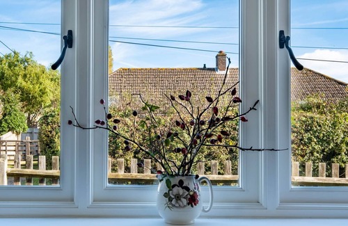 New Forest District Cabaña | Picture perfect cottage 30 minute walk from wild beach or 10 minutes walk to pub