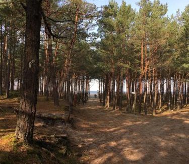 Kopalino Casa | Pieprz i WANILIA Kopalino domek z widokiem na las 3 pokoje parking taras WiFi - Wanilia