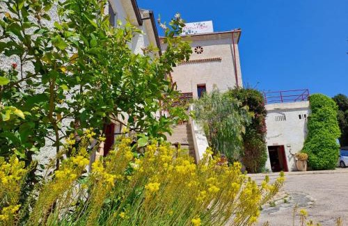 Pineto Casa | Pier Delle Vigne B&B
