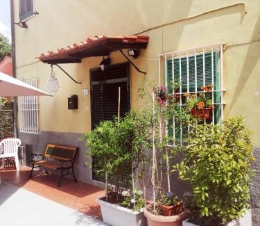 Lucca Apartamento | Pierina