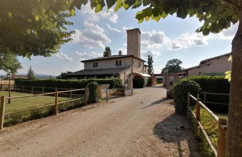 Limiti Apartamento | Pietra Rosa