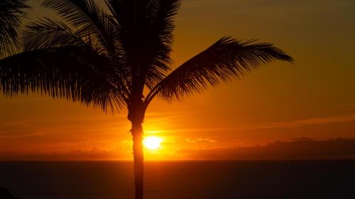 Kamuela Apartamento | ❤PiH❤ Endless Ocean Views Villa Gorgeous Mauna Kea Ocean and Mountain View