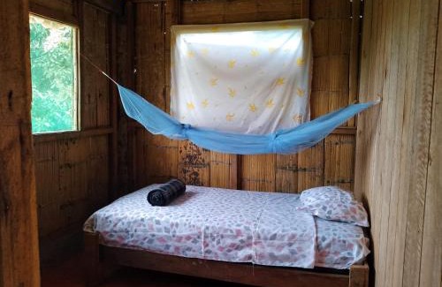 Región amazónica de Ecuador Cabina | Pihualli Lodge