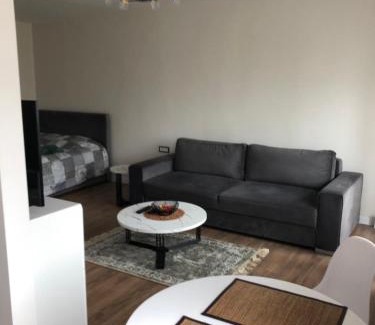 Panevezys Apartamento | Pilėnų apartamentai