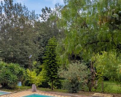 Nanyuki Apartamento | Pine 2 bedroom apartment with a pool