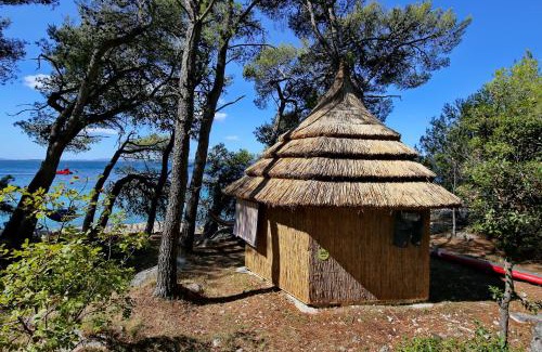 Pakostane Complejo | Pine Beach Pakostane - All Inclusive light