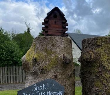 Strathyre Casa | Pine Cabin, Strathyre. A cosy escape from it all.